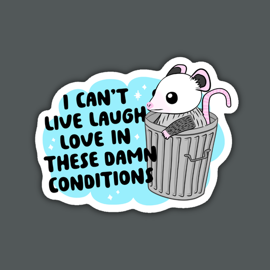 Indigo Maiden - Can't Live Laugh Love in These Conditions Possum Sticker