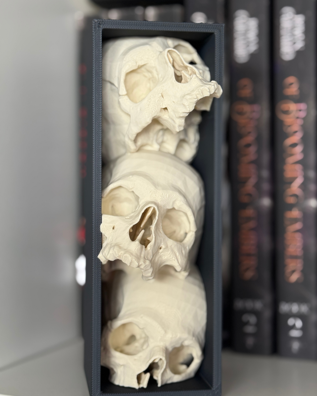 TRR Stacked Skull Book Nook
