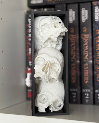 TRR Stacked Skull Book Nook